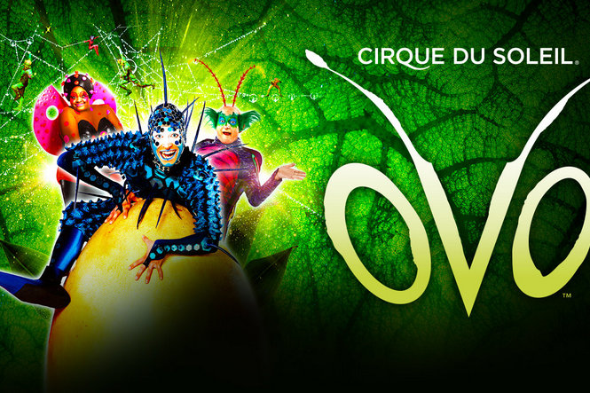 Цирк дю Солей - Cirque du Soleil. OVO